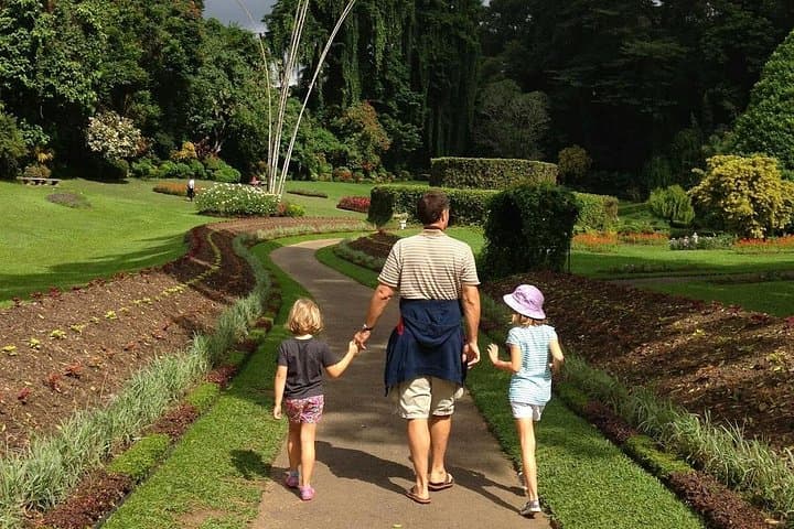 Day Trip From Kalutara: Kandy Temple, Peradeniya Gardens & Cultural Show photo 4
