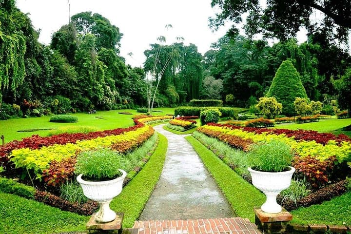 Kandy Private Day Tour: Temple of the Tooth, Botanic Gardens & Cultural Dance photo 6