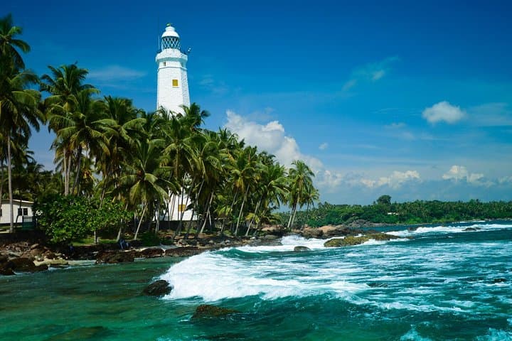 Galle Fort & Jungle Beach Day Trip from Colombo — Heritage Walk, Turtle Hatchery & Coastal Swim photo 3