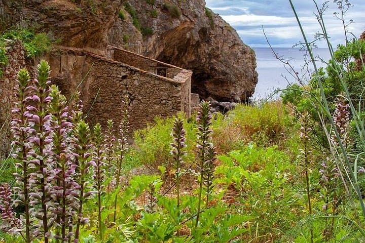 Mindful Coastal Hike to Arrábida’s Secret Beach — Atlantic Cliff Walk from Setúbal photo 4
