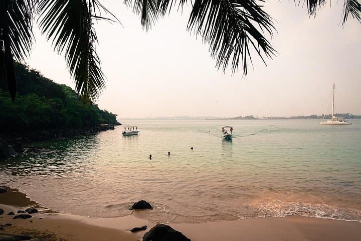 Galle Fort & Jungle Beach Day Trip from Colombo — Heritage Walk, Turtle Hatchery & Coastal Swim photo 4