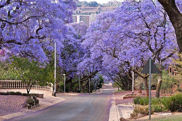Pretoria Sightseeing Day Trip from Johannesburg: Union Buildings, Voortrekker Monument & Kruger House