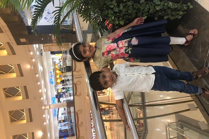 Full-Day Dubai Shopping Tour: Dubai Mall, Souks & Private Transfers photo 4