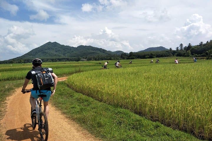 Koh Yao Noi Cycling and Beach Day Trip — 22 km Island Ride, Sustainable Farms & Seaside Lunch