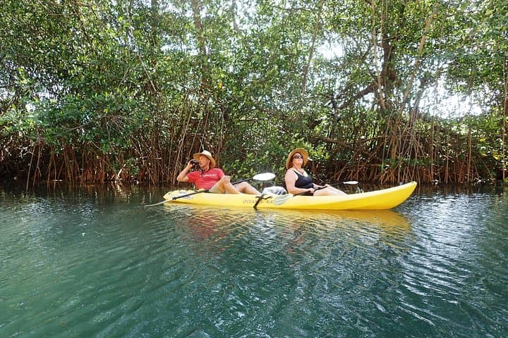 Kayak the Ora River: Mangroves, Birds & Camaronal Beach from Samara photo 2