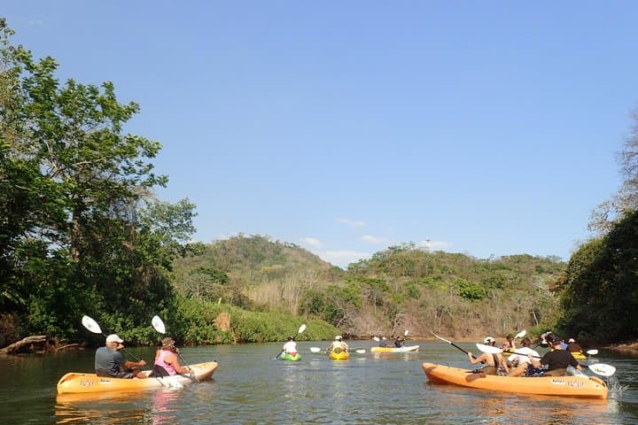 Kayak the Ora River: Mangroves, Birds & Camaronal Beach from Samara photo 4