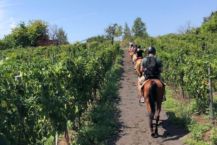 Horseback on Vesuvius: Scenic Ride, Volcanic Wine Tasting & Lunch photo 2