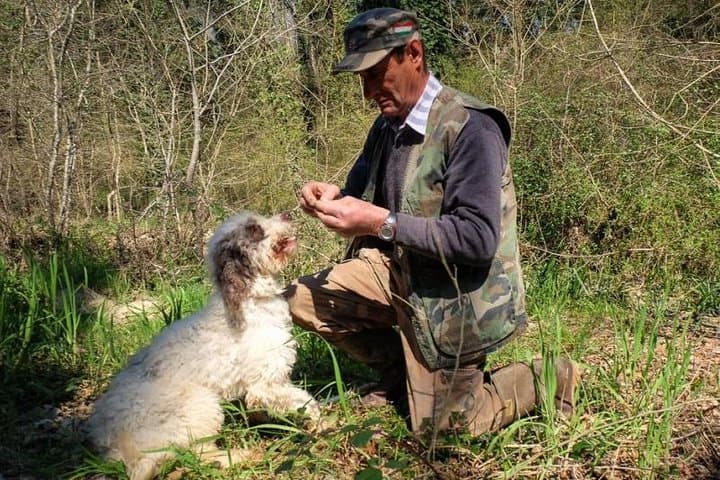 Private Truffle Hunt in Chianti from Florence — Dog-Led Foraging & Tuscan Lunch