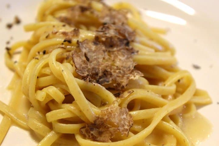 Private Truffle Hunt in Chianti from Florence — Dog-Led Foraging & Tuscan Lunch photo 3