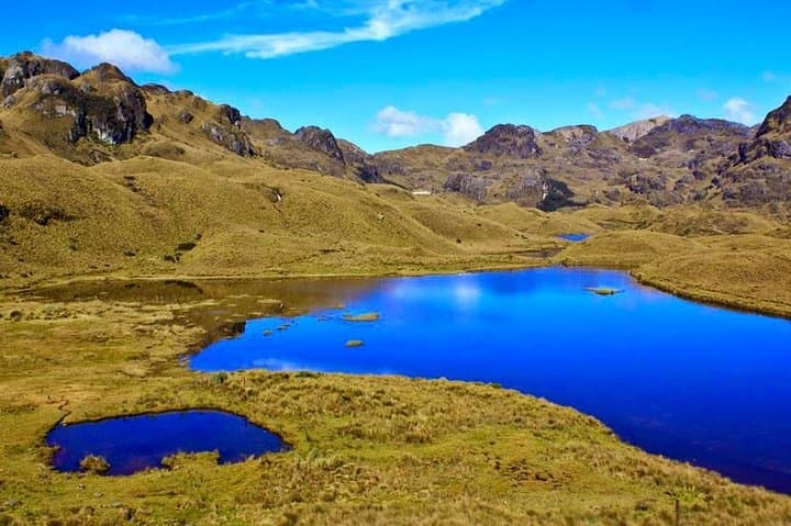 Cajas National Park and Cuenca Day Tour — Lakes, Páramo and City Sights