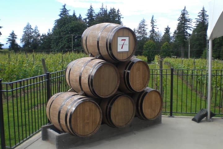 Fraser Valley Private Wine Tasting from Vancouver — VQA Wines & Country Views photo 2