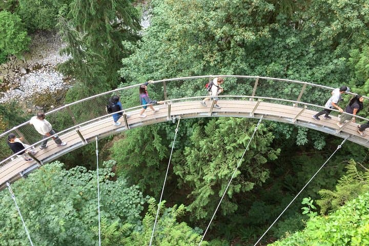 Vancouver City Highlights + North Shore Adventure: Private Full-Day Tour Guide