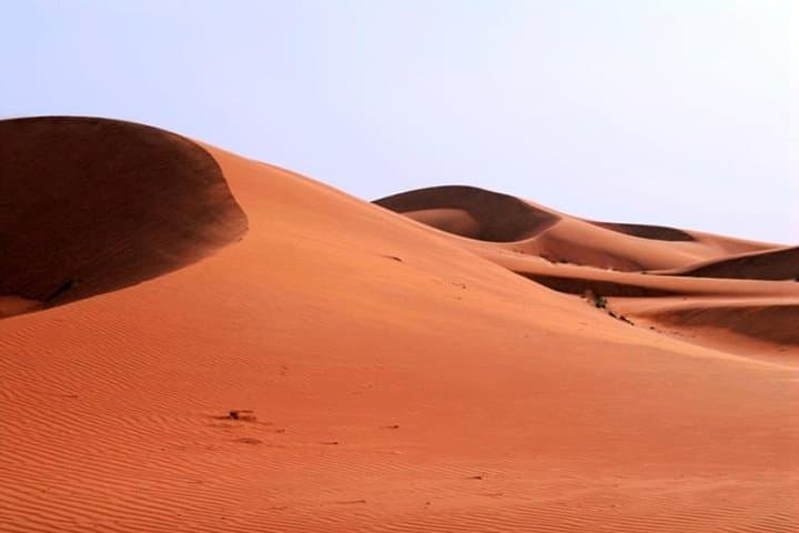 Morning Dubai Desert Safari: 4x4 Dunes, Sand Ski & Camel Ride