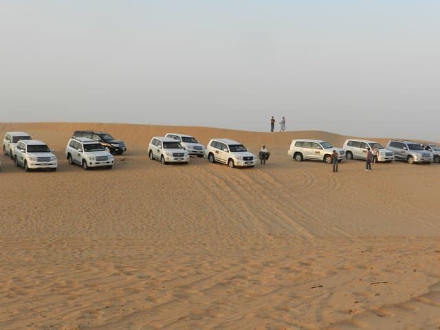 Morning Dubai Desert Safari: 4x4 Dunes, Sand Ski & Camel Ride photo 2