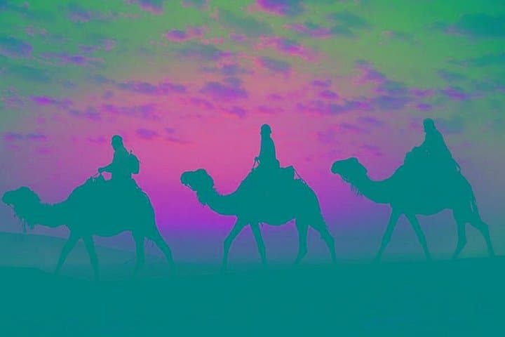 Sunset Camel Ride in Marrakech Palmeraie: Camel Trek and Berber Tea Experience