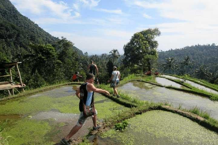 Sekumpul Waterfall Trekking: Bali’s Multi-Falls Jungle Hike photo 3