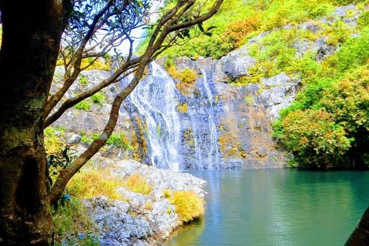 Sky to Sea: Guided Hike at Tamarind Falls and North Coast Beach Hopping photo 2