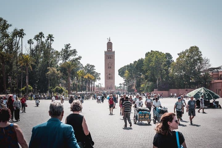 Half-Day Marrakech Walking Tour and Camel Ride in the Palmeraie
