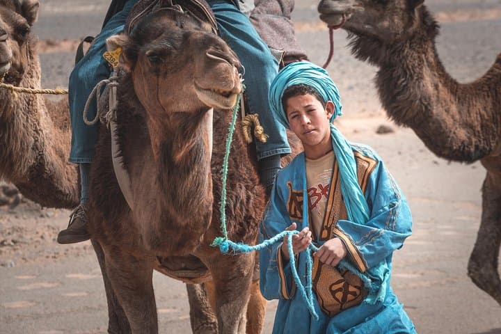Half-Day Marrakech Walking Tour and Camel Ride in the Palmeraie photo 2