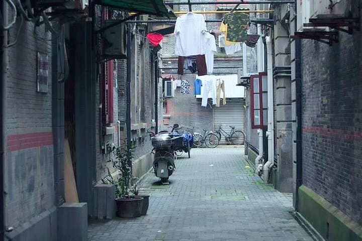 Explore Shanghai's French Concession: Xiangyang Park to Xintiandi One-Day Tour