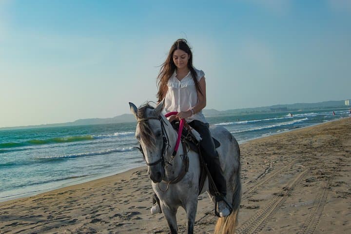 Beach Horseback Riding at Manzanillo: 4-Hour Guided Ride from Cartagena
