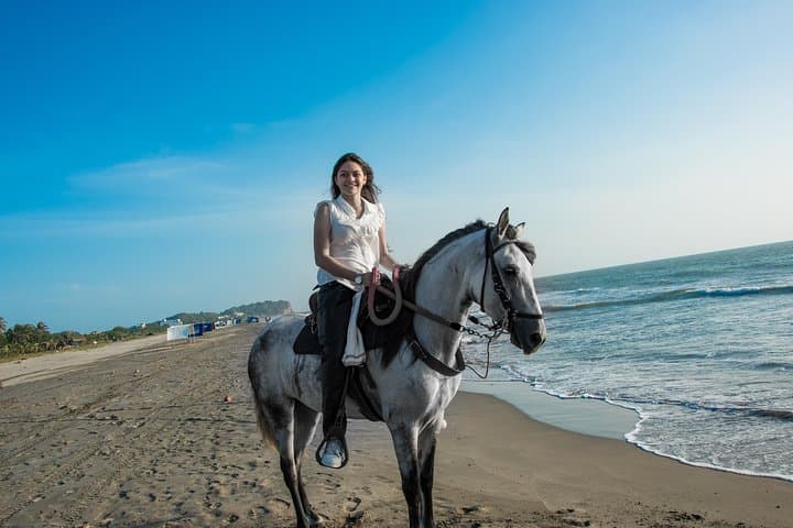 Beach Horseback Riding at Manzanillo: 4-Hour Guided Ride from Cartagena photo 2