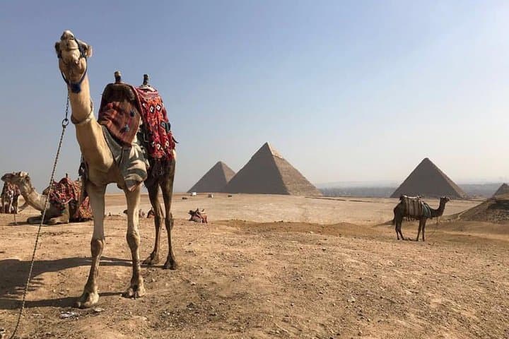 Giza Pyramids Half-Day Private Tour with Camel Ride: Practical Visitor’s Guide