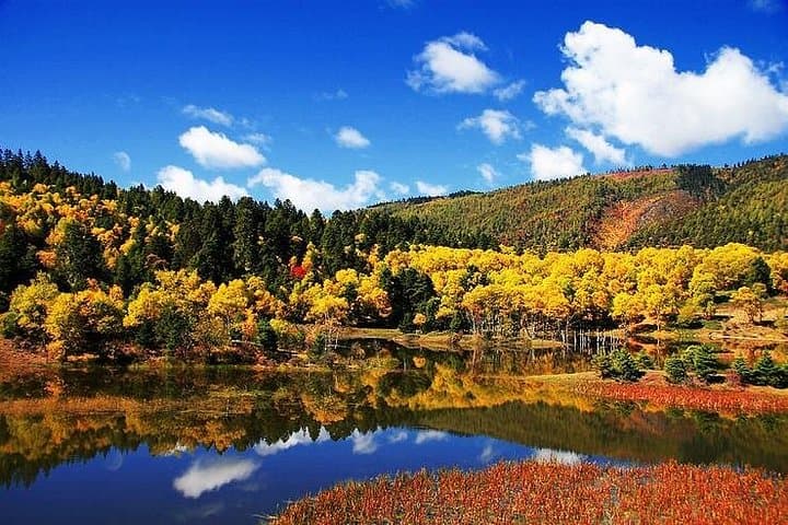 Shangri-La Day Tour: Songzanlin Monastery & Pudacuo National Park (Shudu Lake)