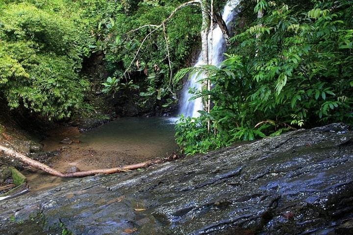 Langkawi ATV & Durian Perangin Waterfall: Full-Day Private Nature Tour