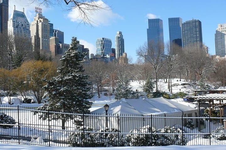 Manhattan Christmas Walking Tour: Rockefeller Tree, Fifth Avenue & Central Park
