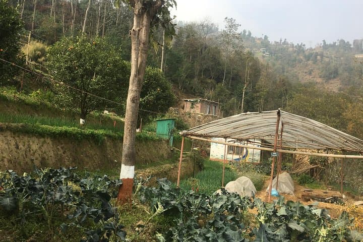 Permaculture Organic Farm Tour in Patlekhet — Day Trip from Kathmandu
