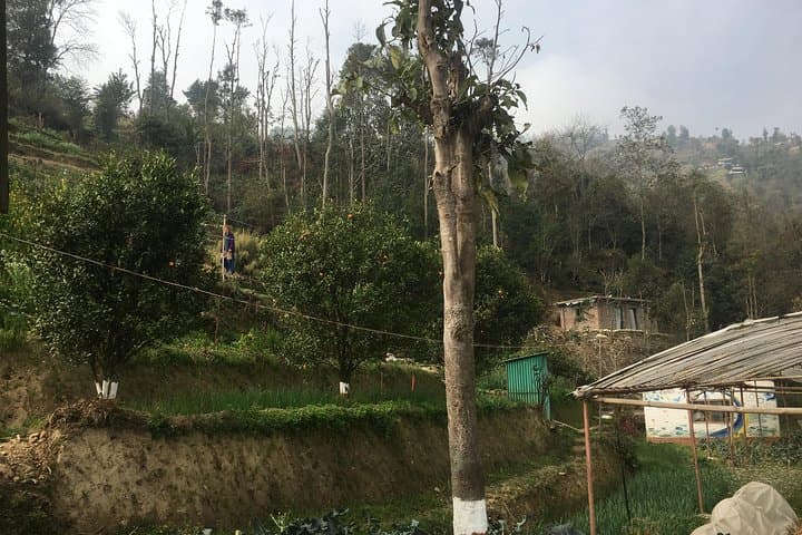 Permaculture Organic Farm Tour in Patlekhet — Day Trip from Kathmandu photo 2