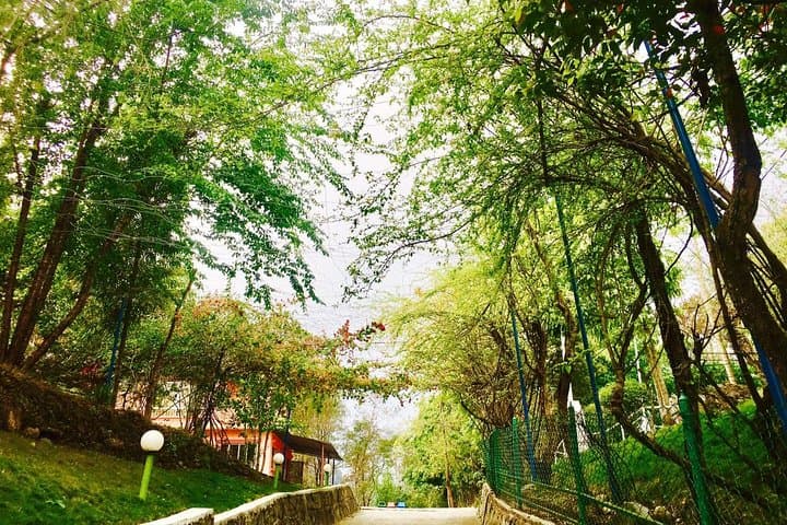 Quiet Hours at Osho Upaban Garden: A Meditative Day Trip from Pokhara photo 2
