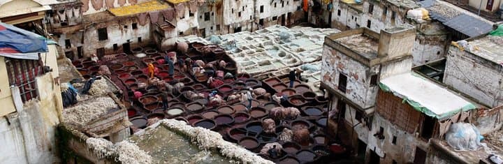Fez Medina Guided Private Tour: Walk the Historic Gates, Tannery & Souks photo 2