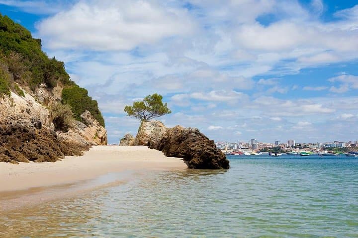 Arrábida Full-Day Private Wine Tour: Coastal Views and Azeitão Tastes
