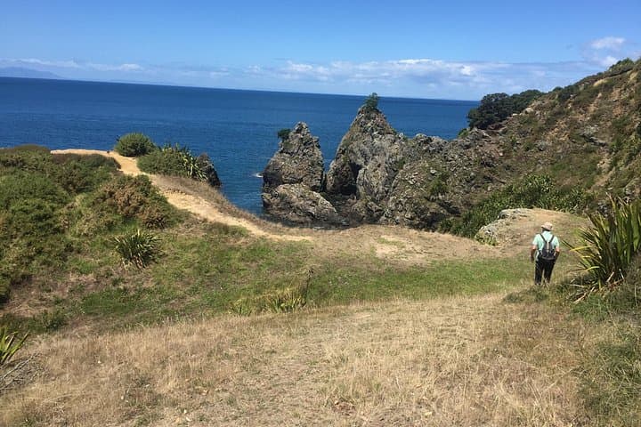 Auckland East Coast Walk & Matakana Wine Trail — Private Coastal Hike & Tasting