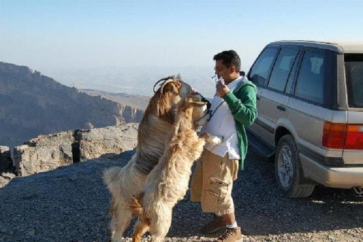 Jebel Shams & Nizwa Day Trip from Muscat — Grand Canyon of Oman Guide
