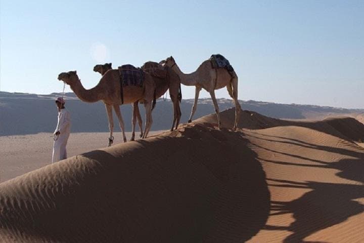 5-Day Oman Explorer: Wadis, Wahiba Sands & Turtle Beaches