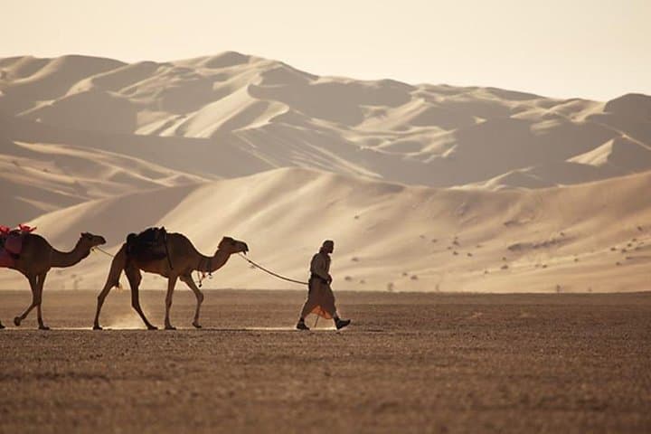 Empty Quarter and the Lost City — Salalah Desert Day Tour photo 2
