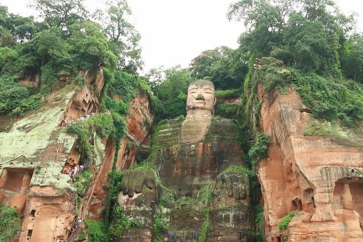 Chengdu Panda & Leshan Giant Buddha Private Day Tour — All-Inclusive Highlights photo 2