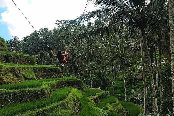 Full-Day Ubud Waterfall & Tegalalang Rice Terrace Tour — 4 Waterfalls in Central Bali photo 3