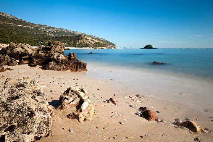 Arrábida Full-Day Private Wine Tour: Coastal Views and Azeitão Tastes photo 4