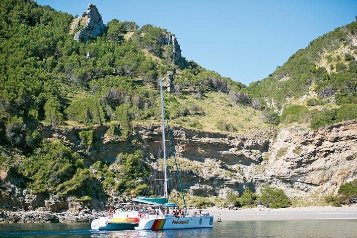 Mallorca North Coast Catamaran Cruise with BBQ Lunch photo 3