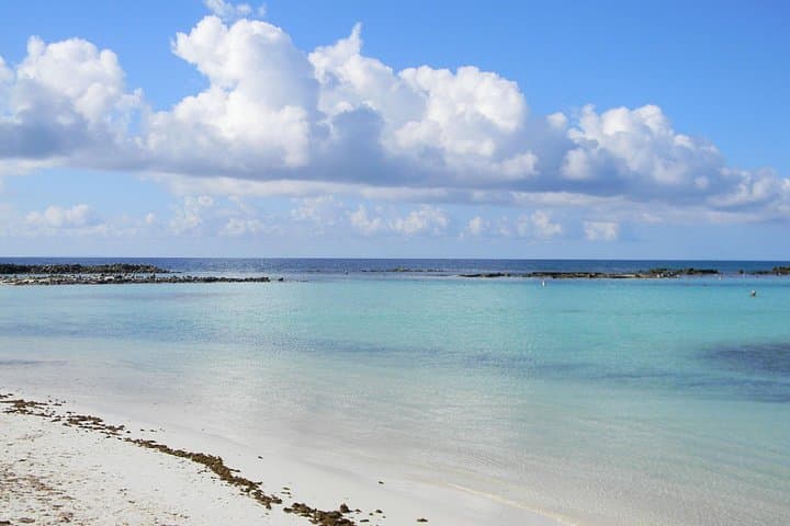Half-Day Snorkel at Mangel Halto & Baby Beach — Aruba Guided Tour photo 1