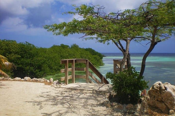 Half-Day Snorkel at Mangel Halto & Baby Beach — Aruba Guided Tour photo 3