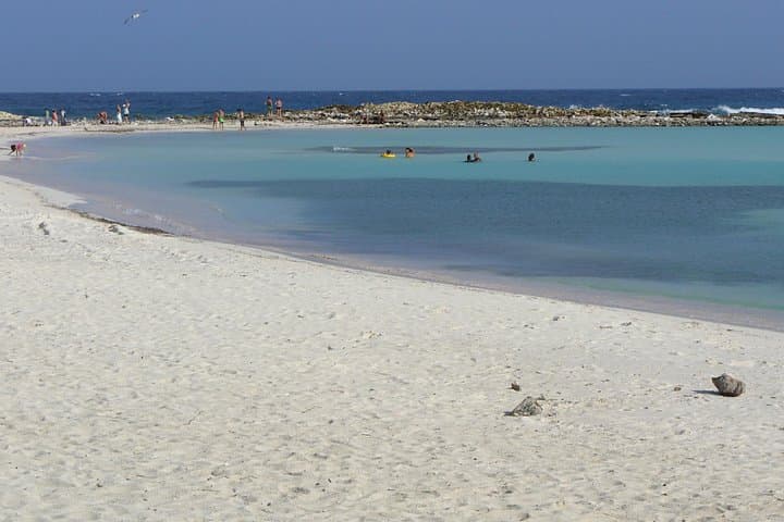 Half-Day Snorkel at Mangel Halto & Baby Beach — Aruba Guided Tour photo 2