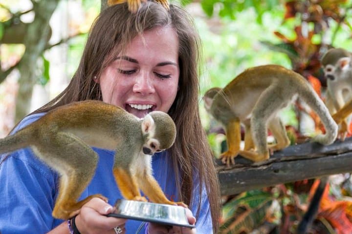 Up-Close with Squirrel Monkeys: Monkeyland & Plantation Safari from La Romana photo 4