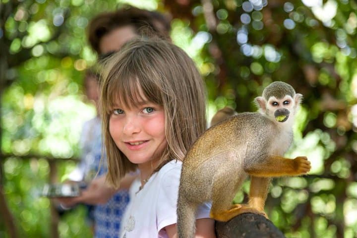 Up-Close with Squirrel Monkeys: Monkeyland & Plantation Safari from La Romana photo 5