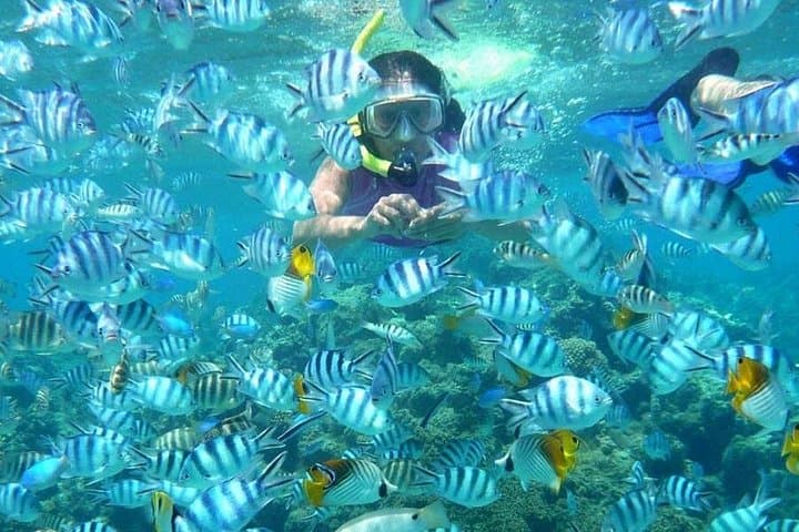 Blue Lagoon Snorkeling East Bali: Half-Day Snorkel from Padangbai with Lunch photo 4