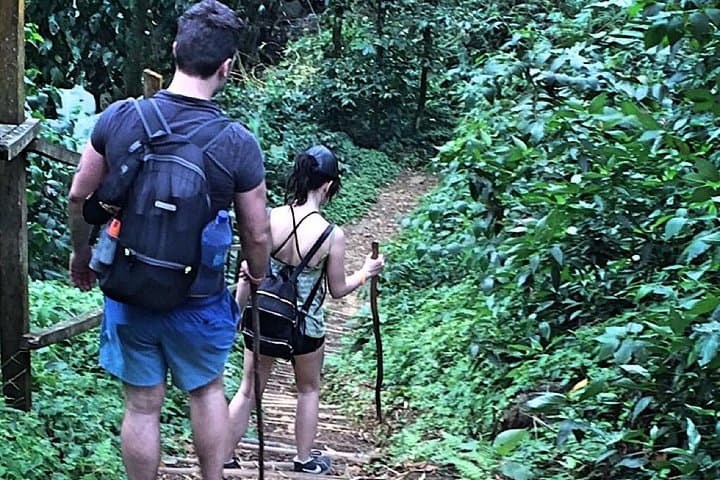 Grand Etang Small-Group Adventure Trek to the Seven Sisters Falls photo 3